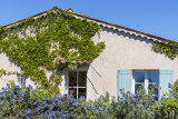 Ferme du Petit Ségriès