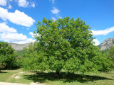 Camping Peyrengues