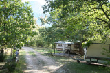 img_5279.jpg