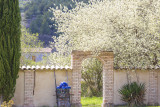 La Ferme Rose