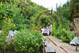 Le jardin potager