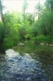 Rivière à proximité