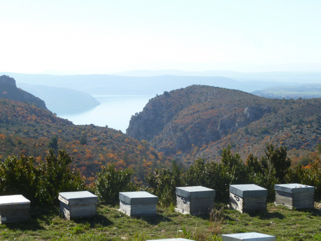 Alentours - © Alentours Alentours